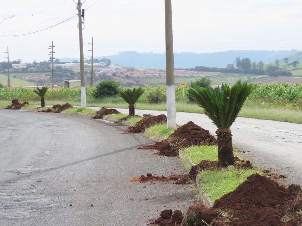 Prefeitura Revitaliza Rodovia De Acesso Ao Centro De Eventos